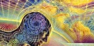 Les Symptômes de l’Ascension